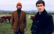 the mountain goats