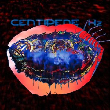 animal collective centipede hz mp3