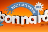 bonnaroo 2013 stream