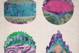 humfree bug art - collema