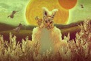 mr. Gnome – Madness in Miniature (2011)