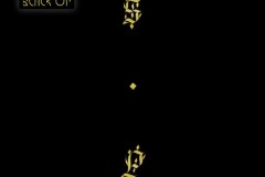 Shabazz Palaces – Black Up (2011)