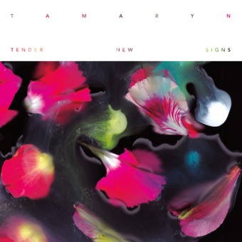 tamaryn shoegaze