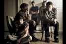 The Carpels
