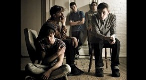 The Carpels