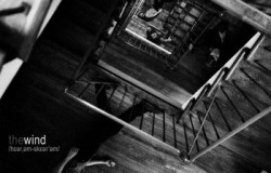 The Wind – Harum Scarum (2011)