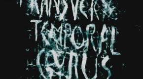 Animal Collective Launch Virtual ‘Transverse Temporal Gyrus’