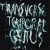 Animal Collective Launch Virtual ‘Transverse Temporal Gyrus’
