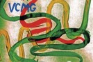 VCMG Announce New LP