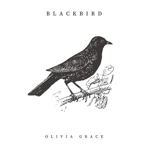 blackbird