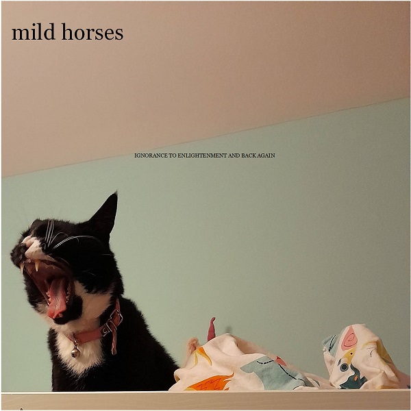 Mild Horses – “Suited”