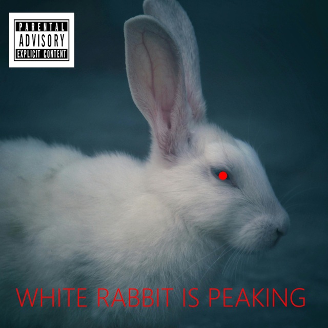 White Rabbit Alert Listen: WEIGHT BELLY .3-9 -