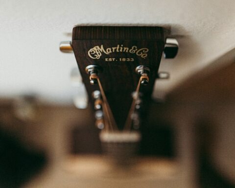 Best Value Guitar for Professional Musicians