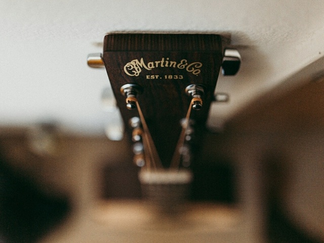 Best Value Guitar for Professional Musicians