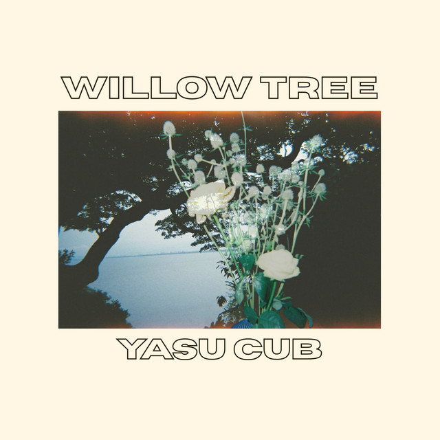 Yasu Cub - willow tree