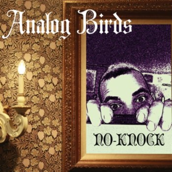 analog birds - no-knock