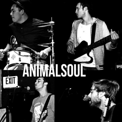 animalsoul