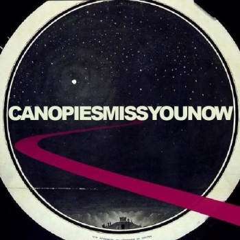 Canopies - Miss You Now