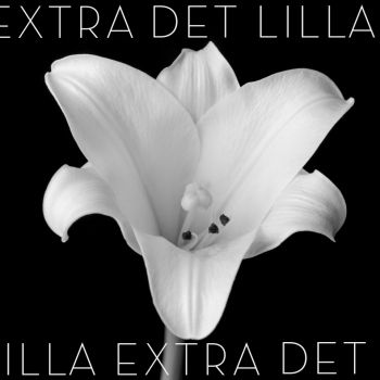 Det lilla extra