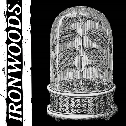 ironwoods hawaii
