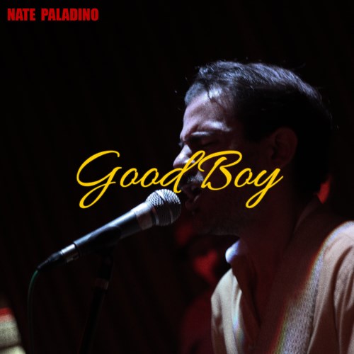 nate paladino music