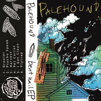 Palehound - Pet Carrot