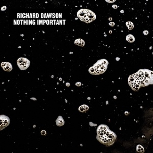 richard dawson - nothing important