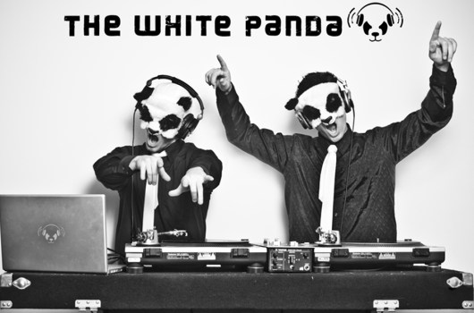 The White Panda interview