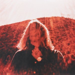 ty segall manipulator