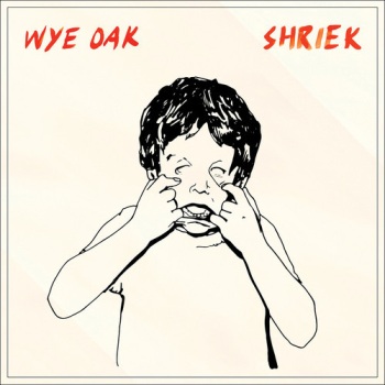 Wye Oak music